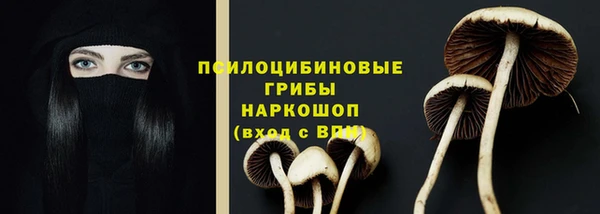мескалин Аркадак