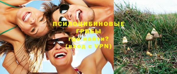 гидропоника Арсеньев