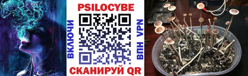 Псилоцибиновые грибы мицелий shop телеграм Урень